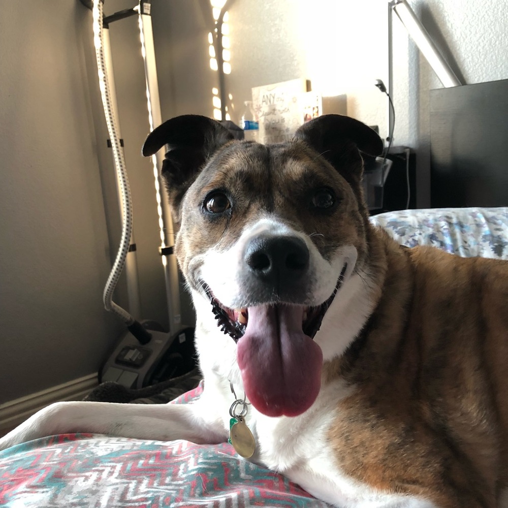 Meet your Posher, Laena